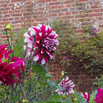 The Sissinghurst Castle Garden Was Cultivated With Love