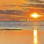Find Fish, Kitsch and Wildlife in the Florida Keys