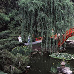Gardens Around the Country Celebrate Spring