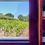 Days of Wine and Oysters in Paso Robles