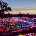 'Field of Light at Sensorio' Illuminates the Hills of Paso Robles