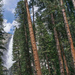 Scenic Sights Assault the Senses at Yosemite National Park