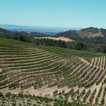 Napa Valley's Charm Lives On