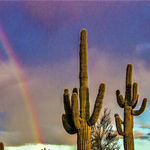 Old West Meets Modern Chic in Scottsdale, Arizona