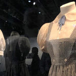 Moviegoers Will Love the Academy Award Museum