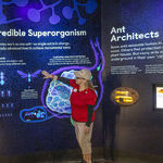 A Place to Learn and Play at the San Diego Zoo