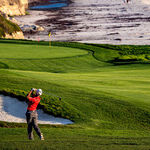Love Sports? Take a Road Trip