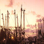 Time Forgot Amelia Island -- Thank Goodness!