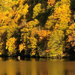 In Search of Autumn Color