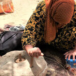 People and Places Bring Egypt to Life