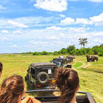 Single Travelers Find Ways to Go It Alone