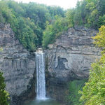 Find Gorges, Greenery, Gardens and Goats in Ithaca, New York