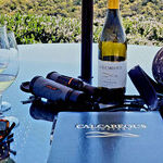 Days of Wine and Warblers in Paso Robles