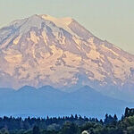 Be Totally Amazed by Tacoma