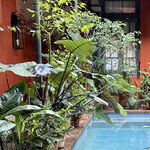 Buenos Aires: A Cosmopolitan City of Natural Splendor