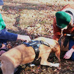 Truffle Hunt Yields Flavors and Fun