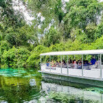 Theme Parks Lure With Summer Fun