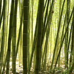 Sensuous and Special Wellness Spas in San Diego