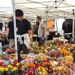America's Biggest Little Italy Is in San Diego