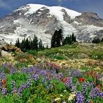 Travel the World in the United States