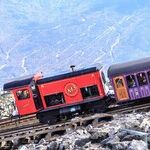 Trains Large and Small Delight Railroad Buffs