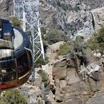 A Breathtaking Ride on Palm Springs' Aerial Tramway
