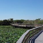Take Lessons From Nature at Everglades National Park