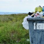 Willful Waste Makes Woeful Want