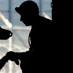 Being of Service -- It Works for Man and Dog