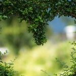 Relationships Really Do Matter