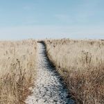 What You Could Do If You Didn't Know You Couldn't