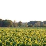 California Wine's Best Kept Secret