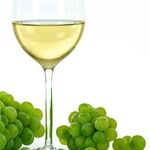10 Great Whites for Spring