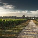 10 Summer Value Wines