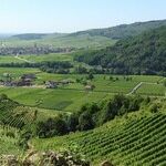 Postcard From France: The Overlooked