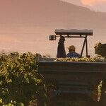 Winery to Watch: Domaine Du Mont-Epin