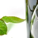 Domestic Wine of the Year