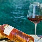 2019 Wines in Review