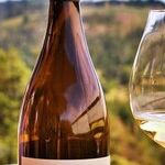 Winery to Watch: Oregon's WillaKenzie