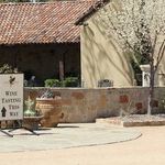 How COVID-19 Impacts Wine