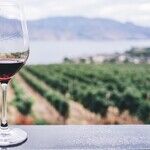 Winery to Watch: Scattered Peaks