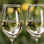 The White Wine Decant