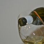 Somm Challenge Standouts