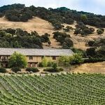 Napa Valley on the Rebound