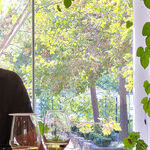 Winery to Watch: St. Supery