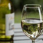10 Great Whites for Spring