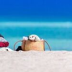 Summer Dreams of Verbal Themes