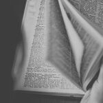 Language of 2016 Was a 'Dumpster Fire'
