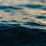 Metaphoric 'Bow Wave' Makes Waves