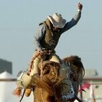 Midnight Cowboy Shows Up at High Noon